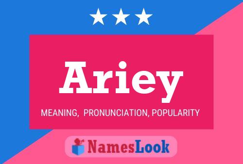 Ariey 名字海报