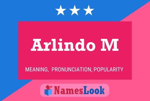 Arlindo M 名字海报