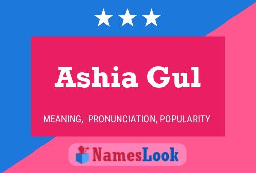 Ashia Gul 名字海报