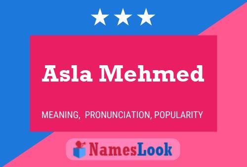 Asla Mehmed 名字海报