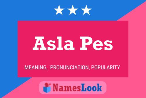 Asla Pes 名字海报