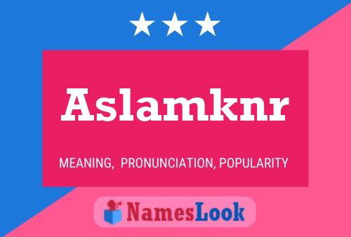 Aslamknr 名字海报