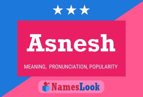 Asnesh 名字海报