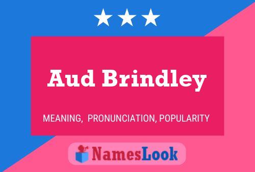 Aud Brindley 名字海报