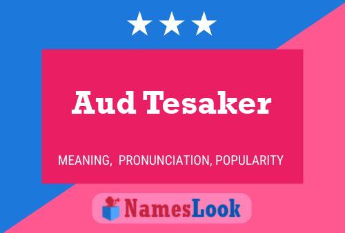 Aud Tesaker 名字海报