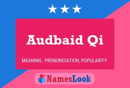 Audbaid Qi 名字海报