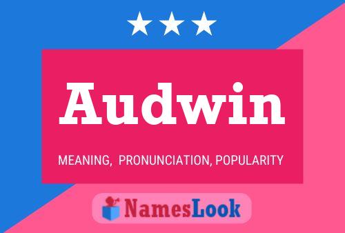 Audwin 名字海报