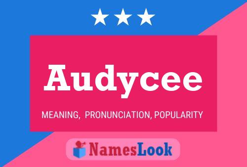 Audycee 名字海报