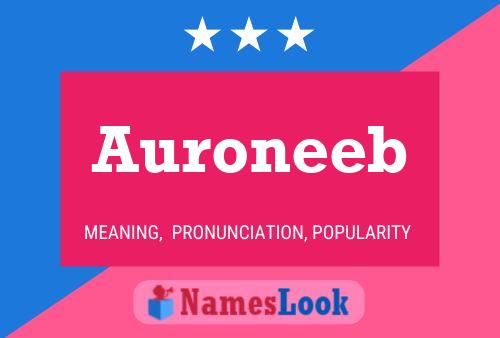 Auroneeb 名字海报