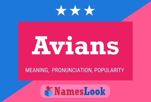 Avians 名字海报