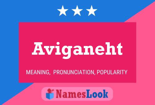 Aviganeht 名字海报