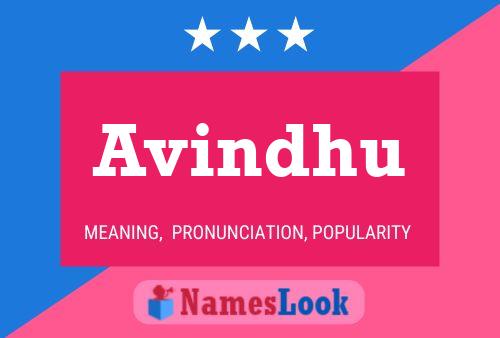 Avindhu 名字海报