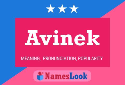 Avinek 名字海报