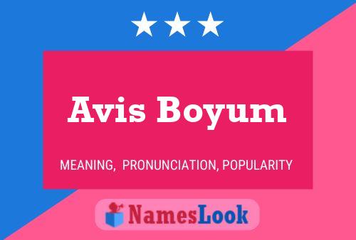 Avis Boyum 名字海报