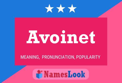 Avoinet 名字海报