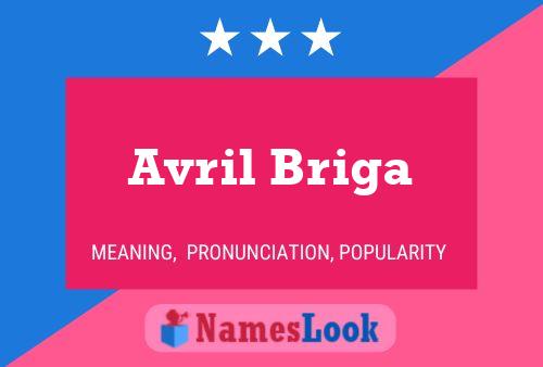 Avril Briga 名字海报