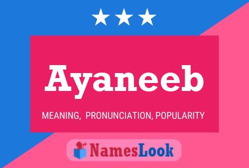 Ayaneeb 名字海报