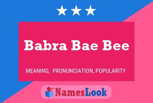 Babra Bae Bee 名字海报