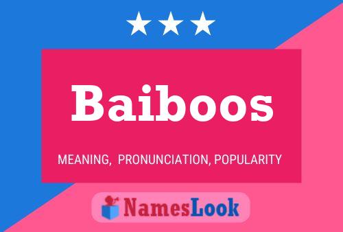 Baiboos 名字海报