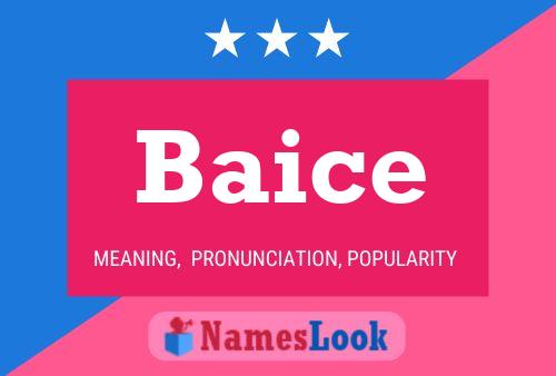 Baice 名字海报