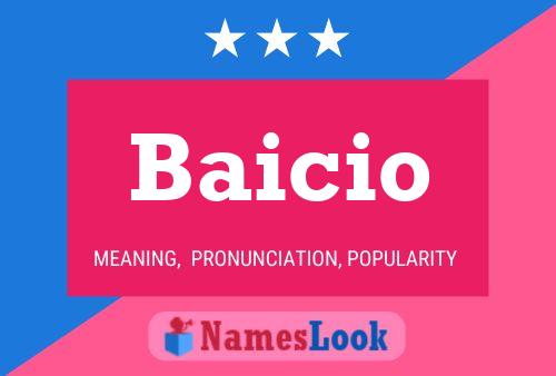 Baicio 名字海报