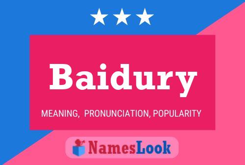 Baidury 名字海报