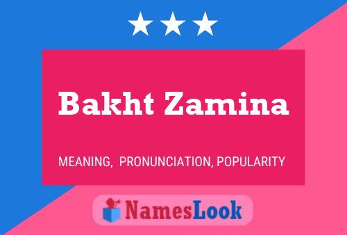 Bakht Zamina 名字海报