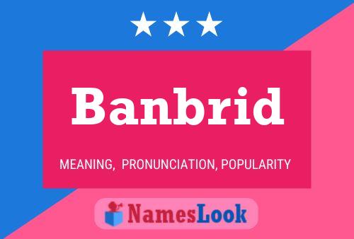 Banbrid 名字海报