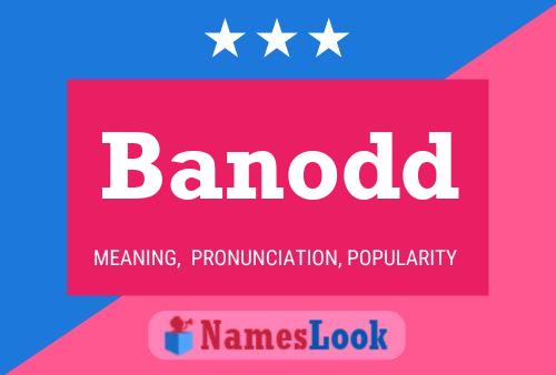 Banodd 名字海报