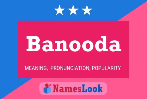 Banooda 名字海报