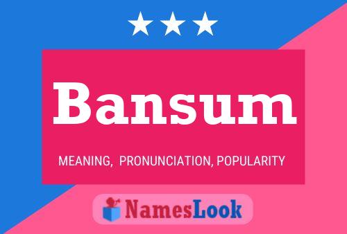 Bansum 名字海报