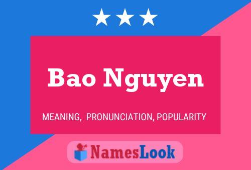 Bao Nguyen 名字海报