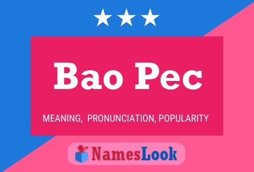 Bao Pec 名字海报