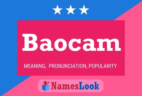 Baocam 名字海报