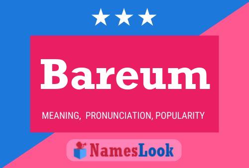 Bareum 名字海报