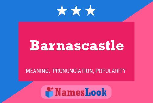 Barnascastle 名字海报