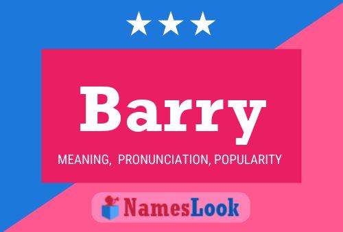 Barry 名字海报