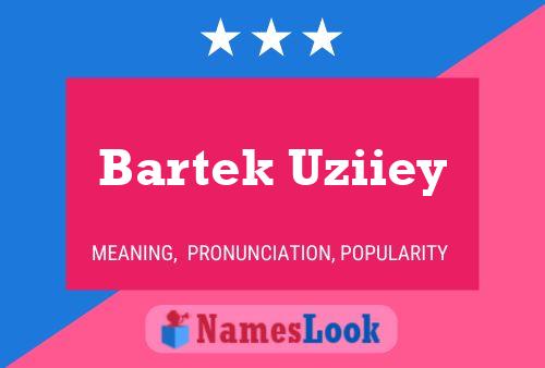 Bartek Uziiey 名字海报