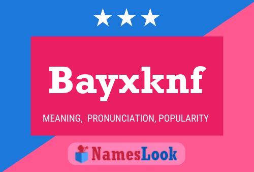 Bayxknf 名字海报