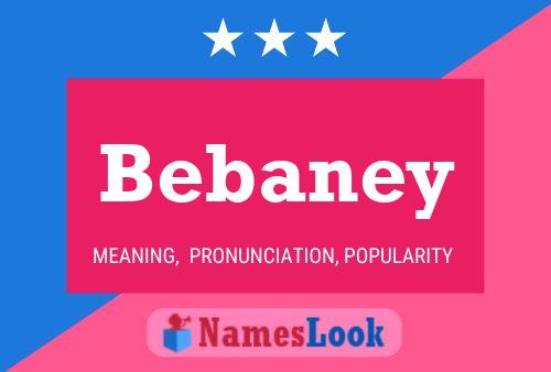 Bebaney 名字海报