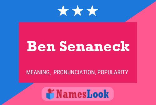 Ben Senaneck 名字海报