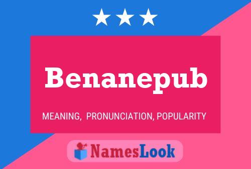 Benanepub 名字海报