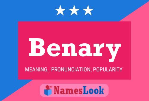 Benary 名字海报