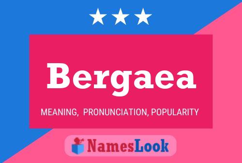 Bergaea 名字海报