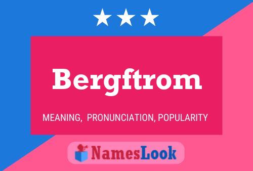 Bergftrom 名字海报