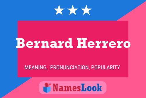 Bernard Herrero 名字海报