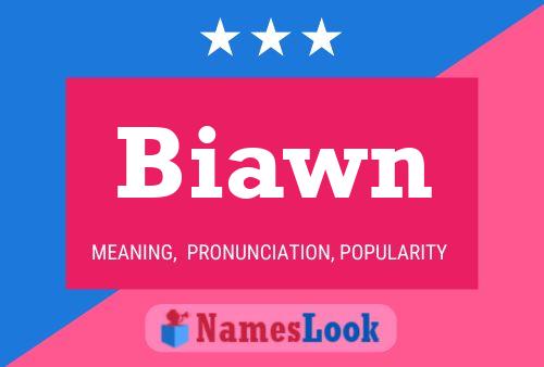 Biawn 名字海报