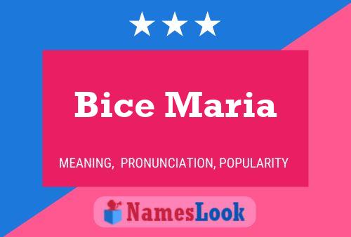 Bice Maria 名字海报