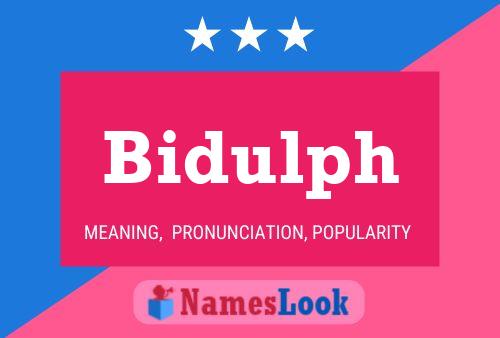 Bidulph 名字海报