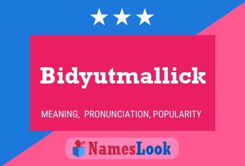 Bidyutmallick 名字海报